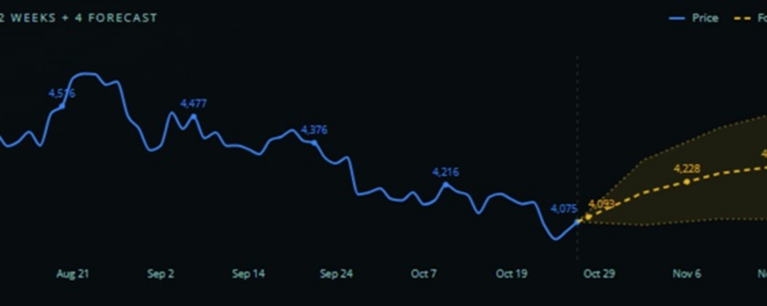 Gold forecast 20261028