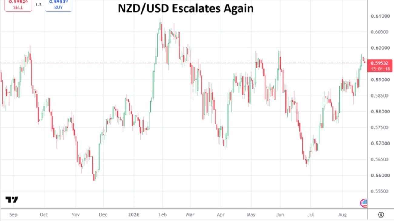New Zealand Dollar 20260825a